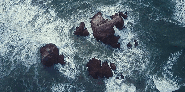 聚醚消泡劑與有機硅消泡劑之間的共同點