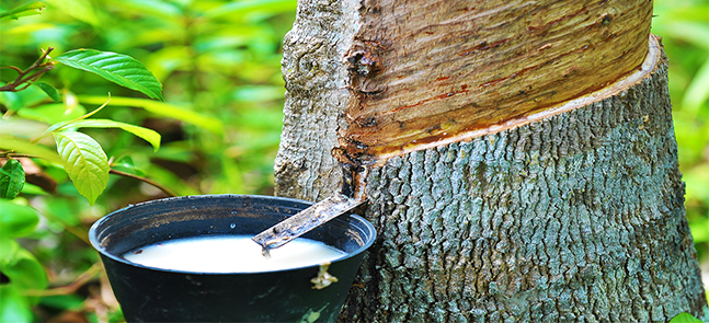 天然乳膠消泡劑 天然乳膠消泡劑